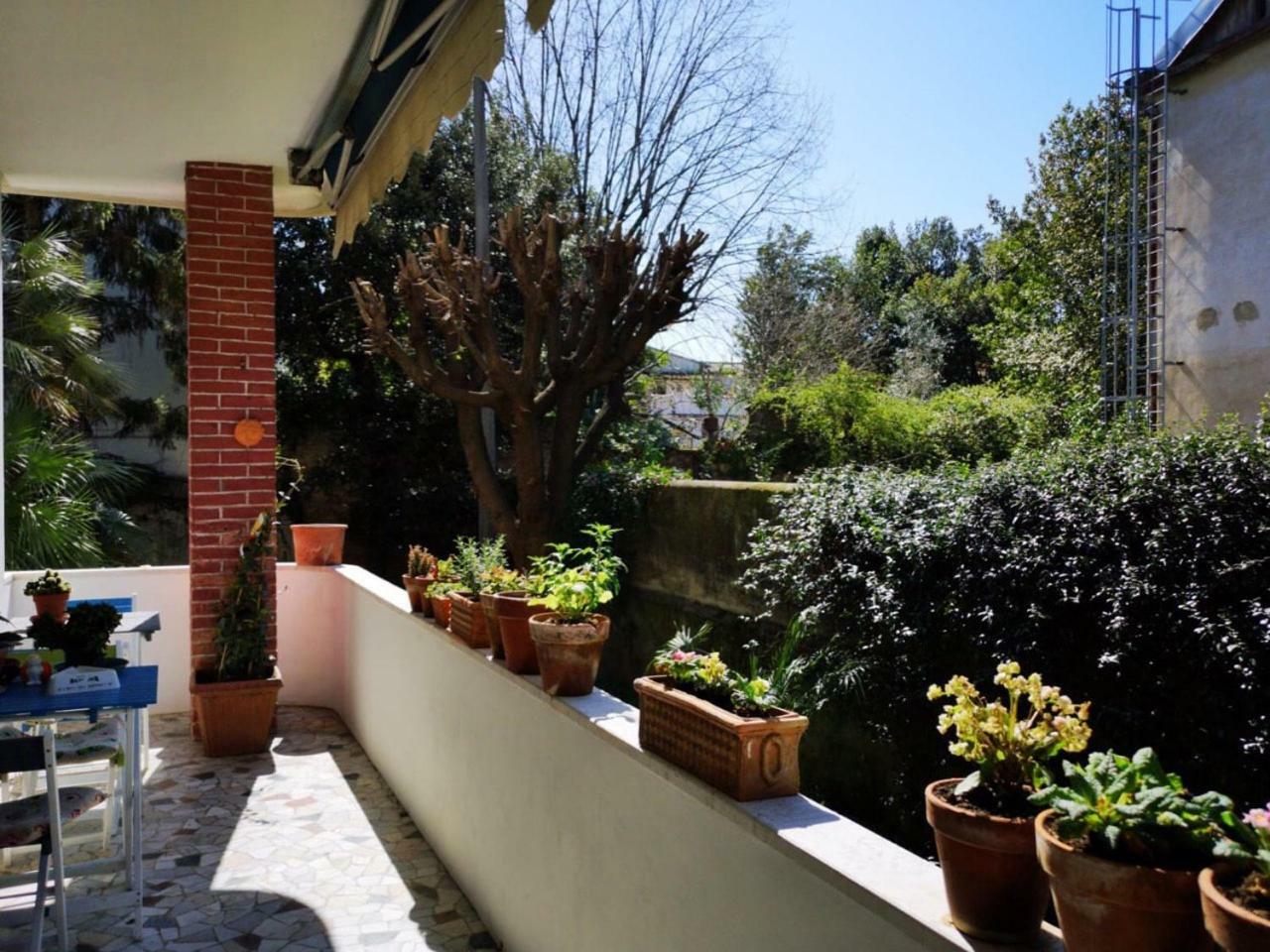 פיזה Wanderlust Bnb מראה חיצוני תמונה
