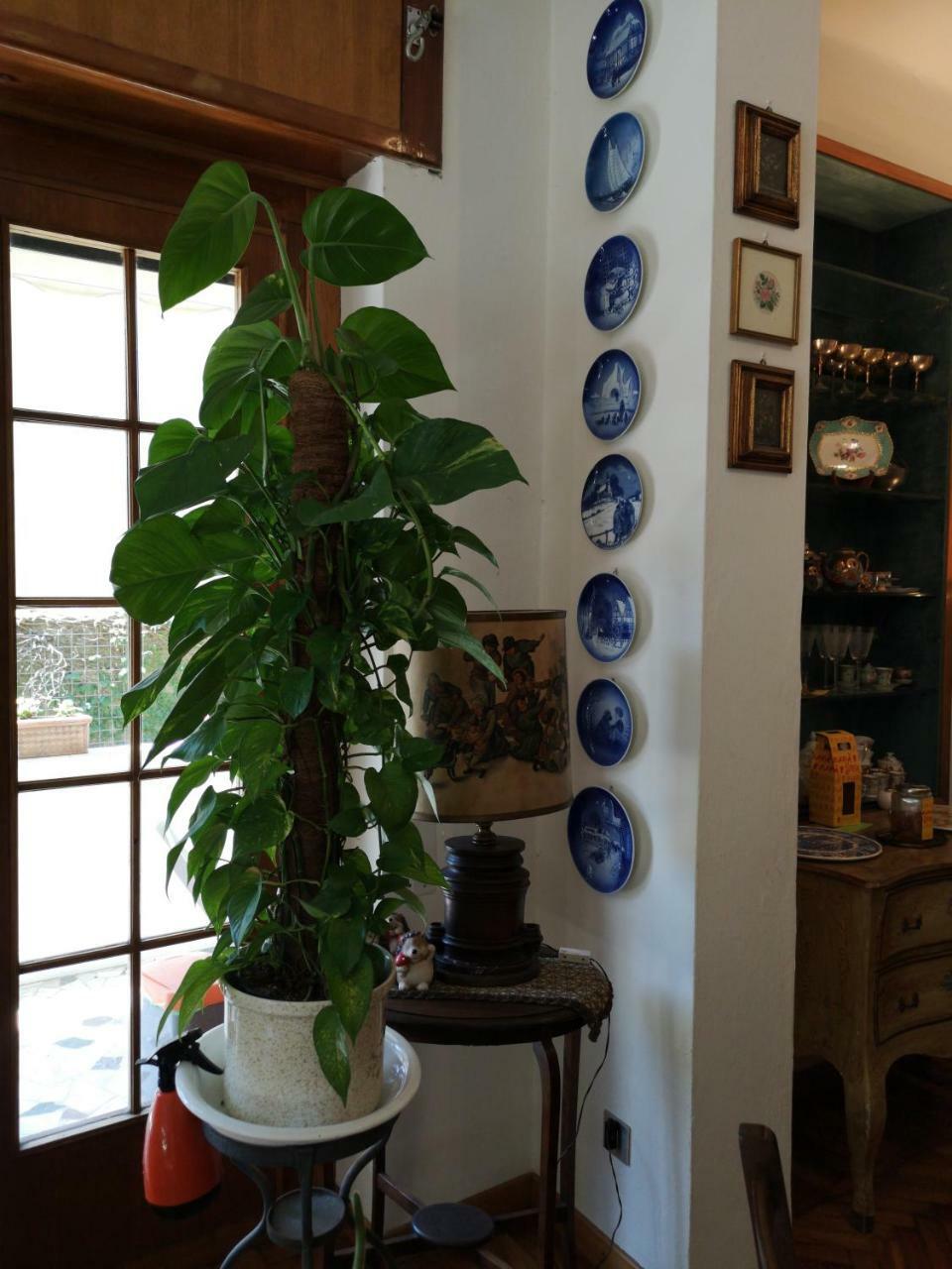 פיזה Wanderlust Bnb מראה חיצוני תמונה
